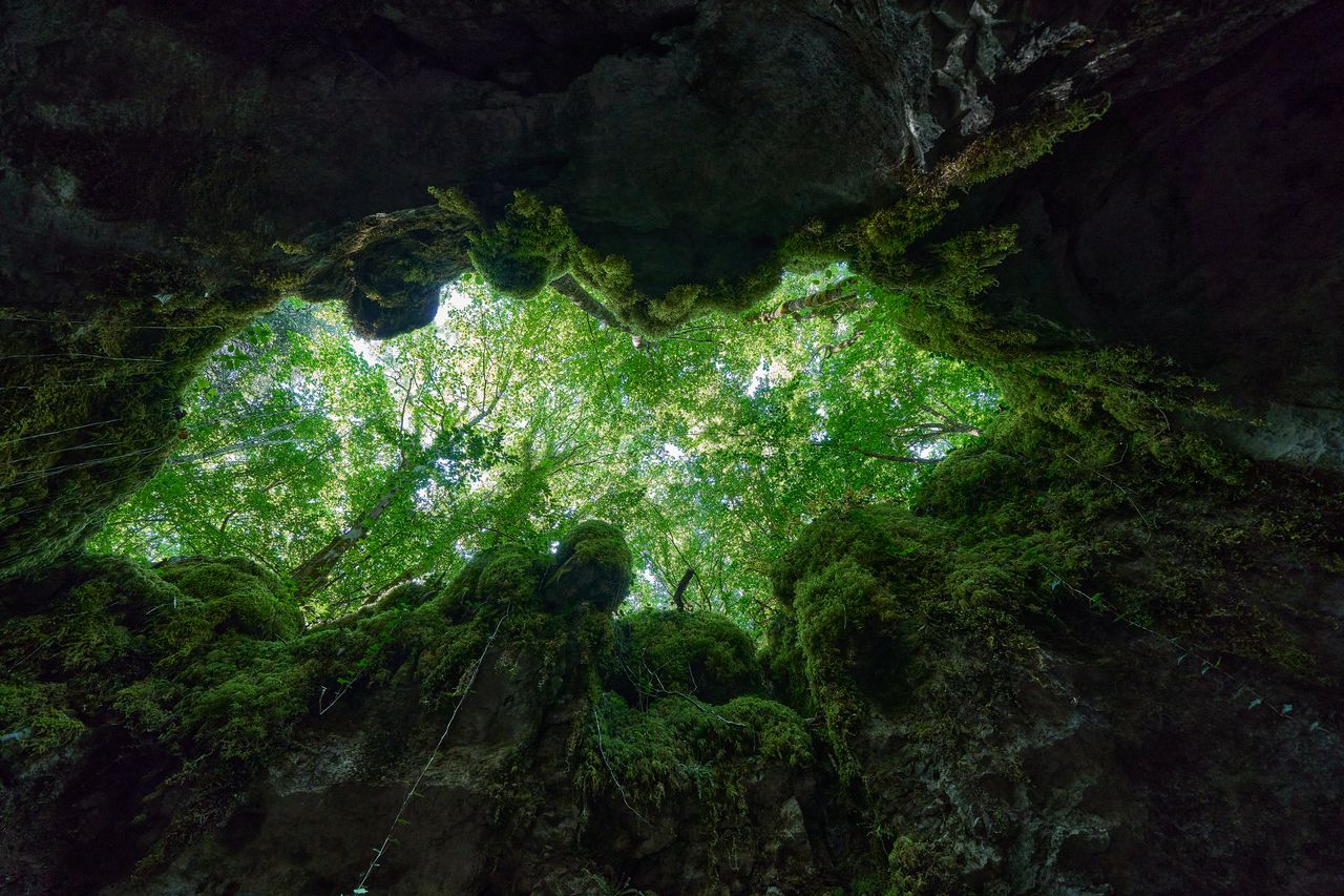 Sentier karstique des Malrochers à Besain, près de Poligny 01